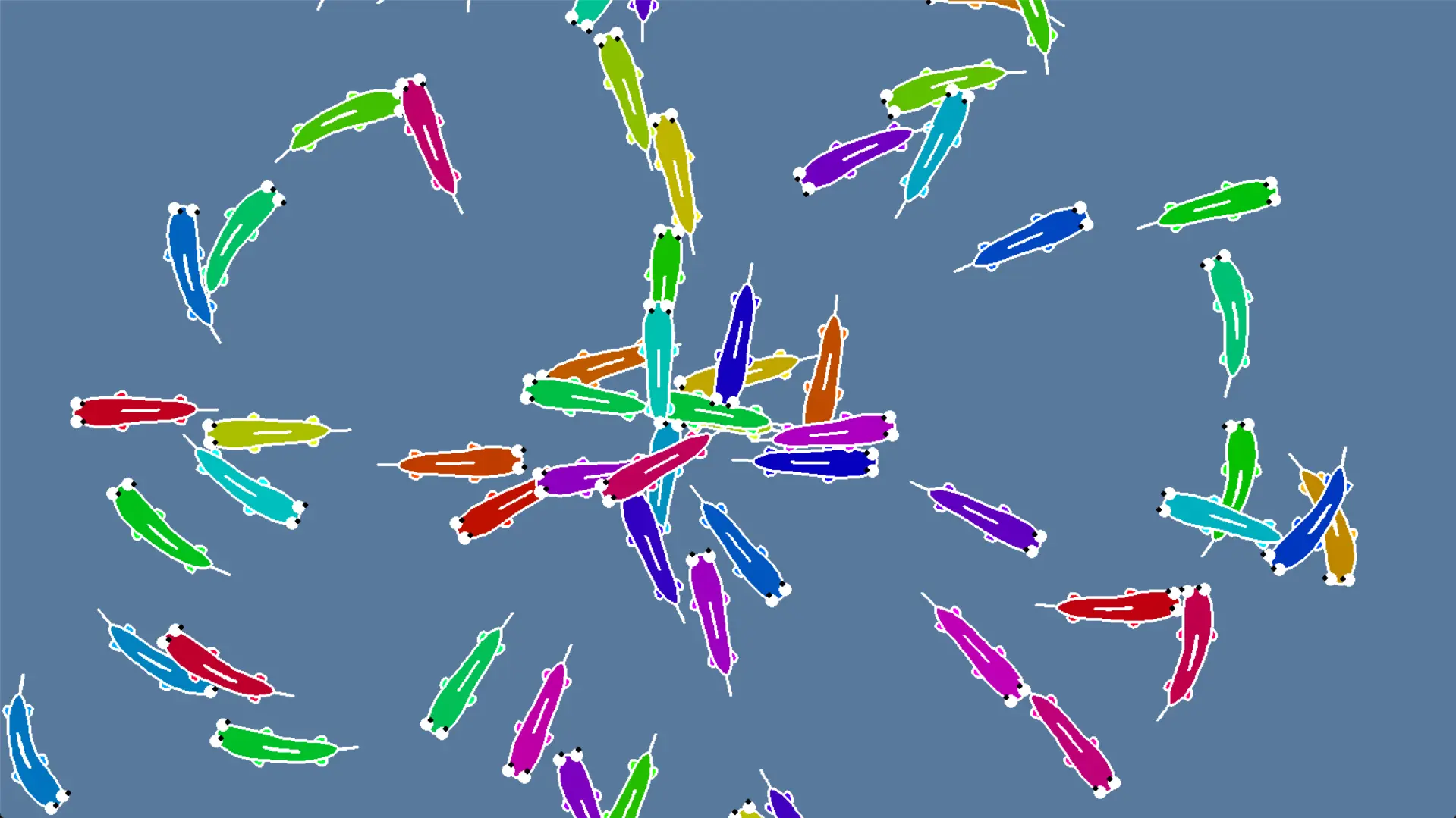 Procedural (3)