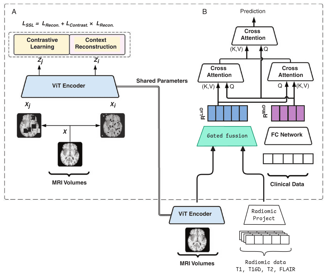 https://raw.githubusercontent.com/MiquelGomezCorral/ARA-Medical-MissingData-Robust-Model/main/readme-images/final.png