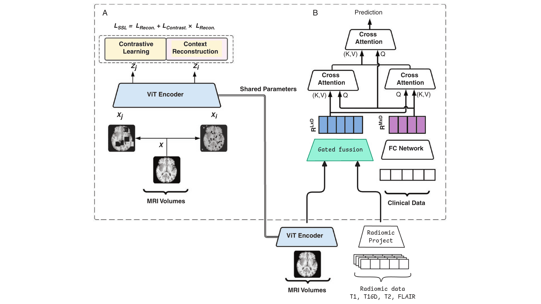 https://raw.githubusercontent.com/MiquelGomezCorral/ARA-Medical-MissingData-Robust-Model/main/readme-images/final_169.png