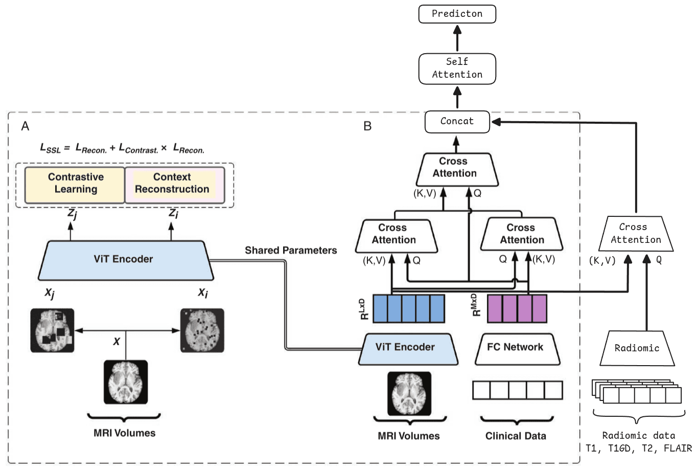 https://raw.githubusercontent.com/MiquelGomezCorral/ARA-Medical-MissingData-Robust-Model/main/readme-images/init.png