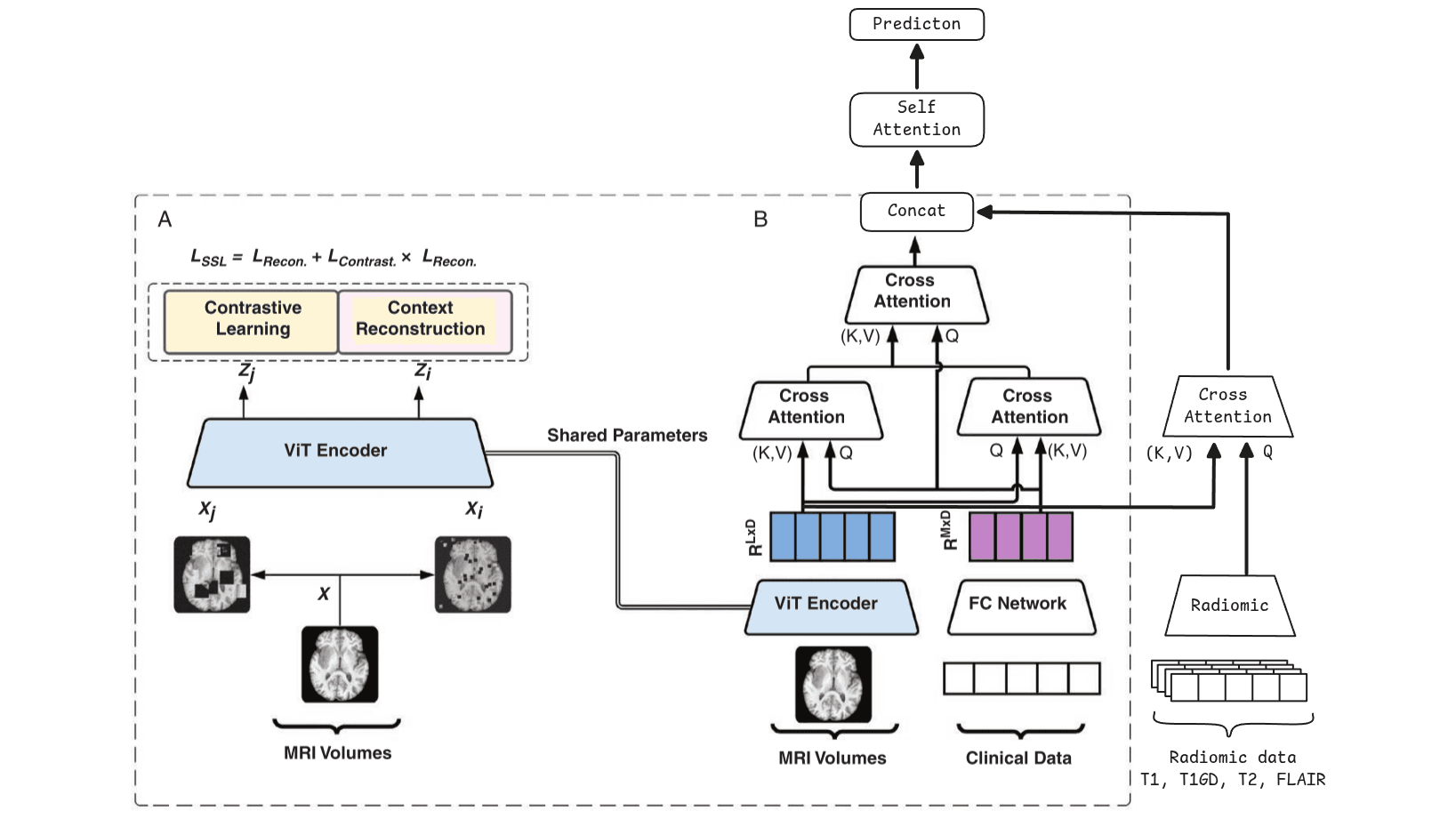 https://raw.githubusercontent.com/MiquelGomezCorral/ARA-Medical-MissingData-Robust-Model/main/readme-images/init_169.png